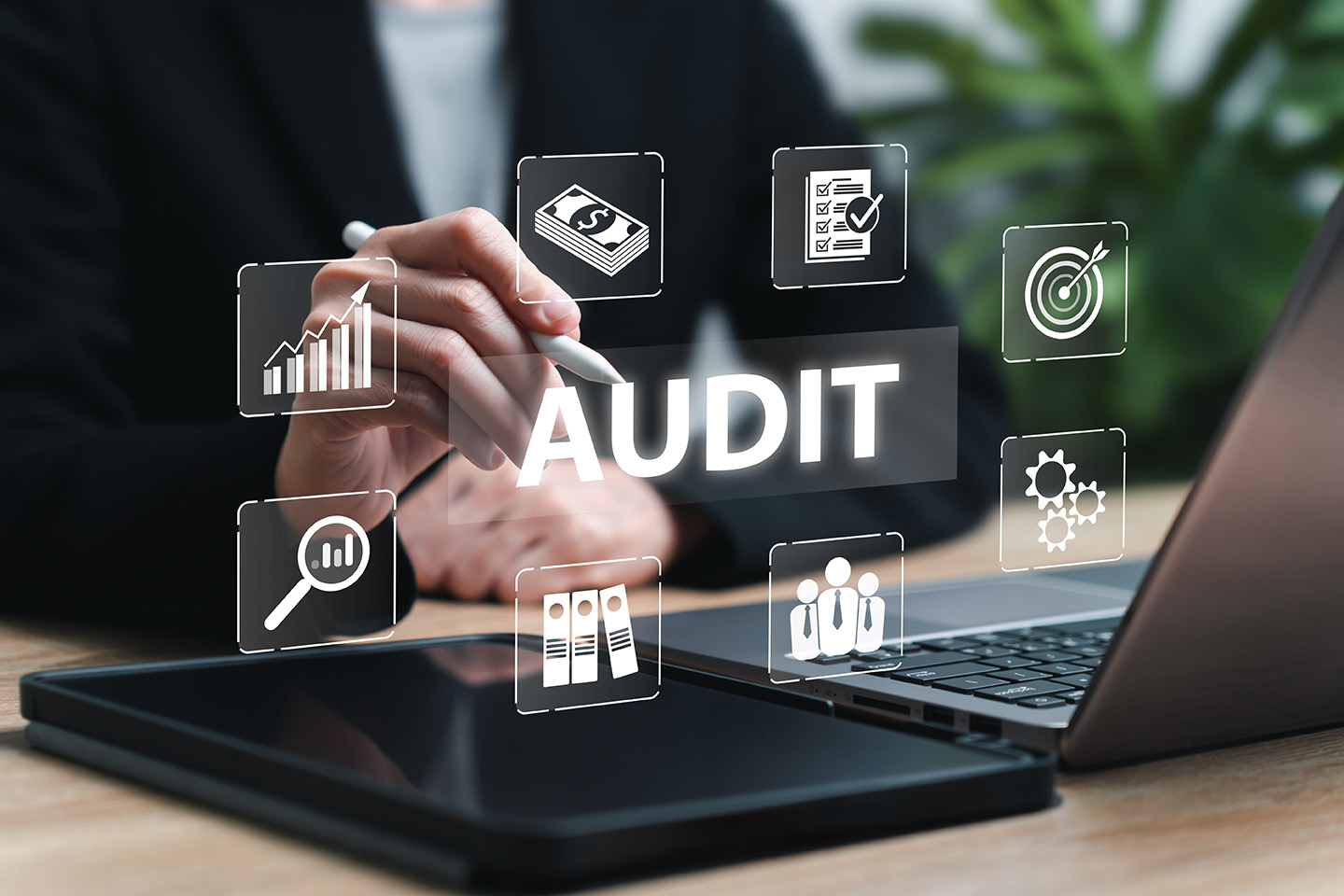 Professional audit advisory